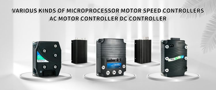 1253-4804 DC Motor Speed Circuit Curtis PLC Controller for Forklift Carts (48V 600A)