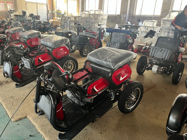 Electric Tricycle with a Pet Carrier for Disable or Elderly 500W 48V12ah