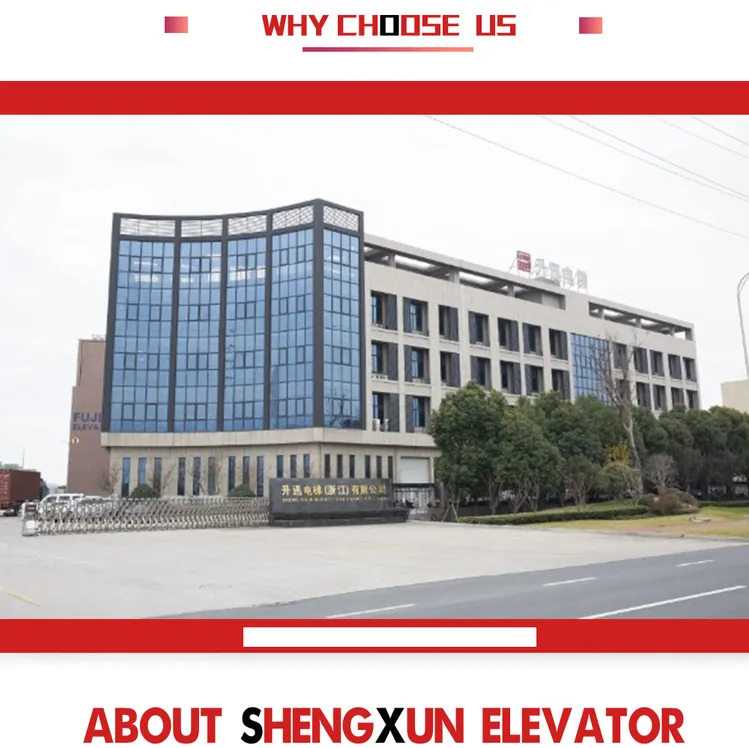Vvvf Sightseeing Passenger Elevator Lift for Residential Commercial Building and Shopping Center with Machine Roomless
