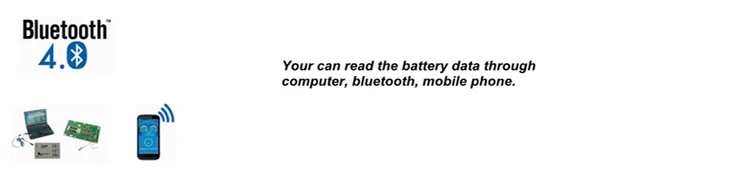 Lithium Ion 4s 200A Lithium Iron Phosphate Intelligent Battery Management System BMS for UPS/Ess