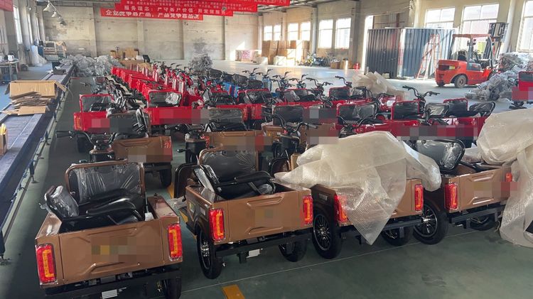 Electric Tricycle with a Pet Carrier for Disable or Elderly 500W 48V12ah