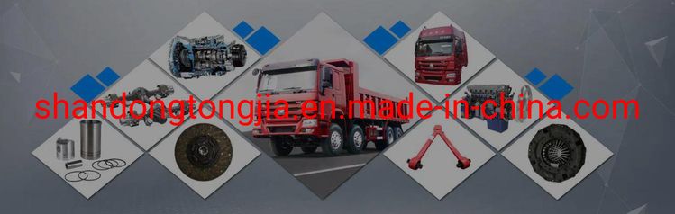 Sinotruk Spare Parts with Dz14251330031, Shacman /FAW/Foton/Dongfeng Spare Parts