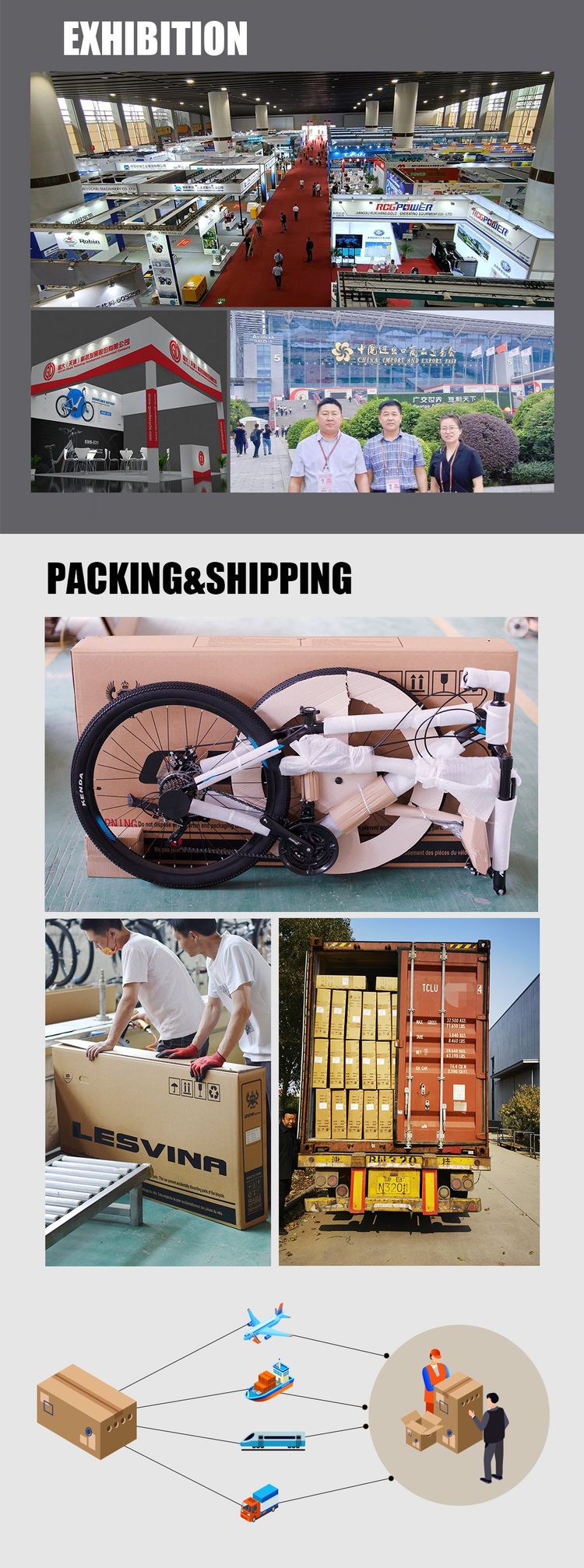 Wholesale 20 Inches 36V250W Discbrake Suspension Electric Folding Bike