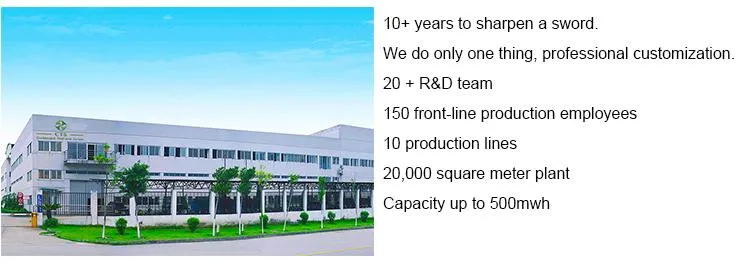 Popular Customized IP65 48V 300ah LiFePO4 Battery 15kwh Lithium Battery Electric Tramcar