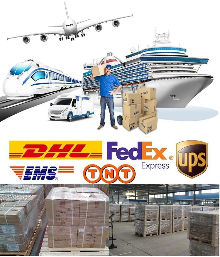 High Quality LED Headlights Auto Lighting System 50W 6000lm X3 Wholesale Fanless High Power H4 H7 H11 9005 9007 50W
