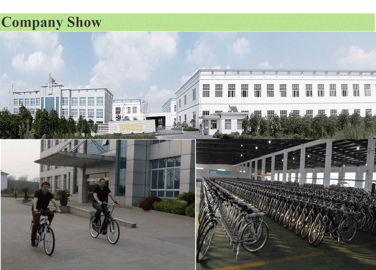 20" folding ebike foldable lithium battery electric bicycle